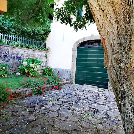 Montelaterone Villa Gioia מראה חיצוני תמונה